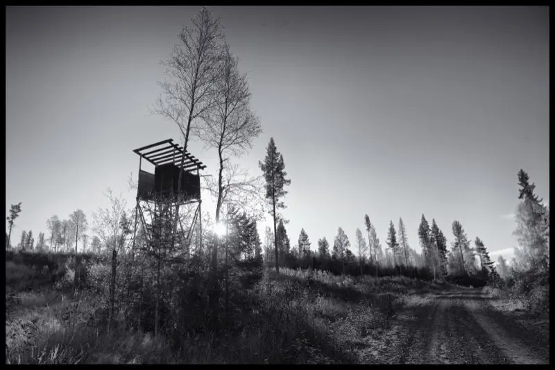 Hunting tower in forest landscape | 2013 | Nordic