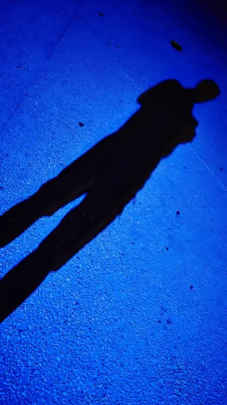 Autoportrait — blue shadow | 2015 | France
